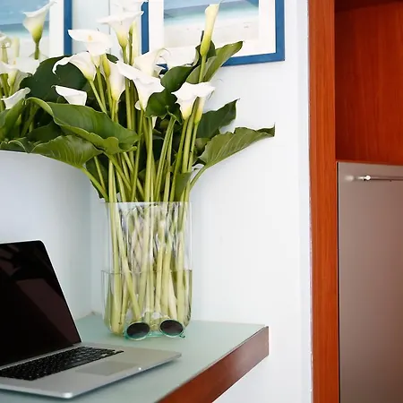 Ermitage Hotel Bellaria-Igea Marina